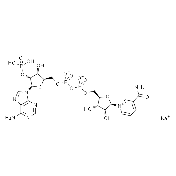 β-Nicotinamide adenine dinucleotide phosphate sodium salt hydrate
