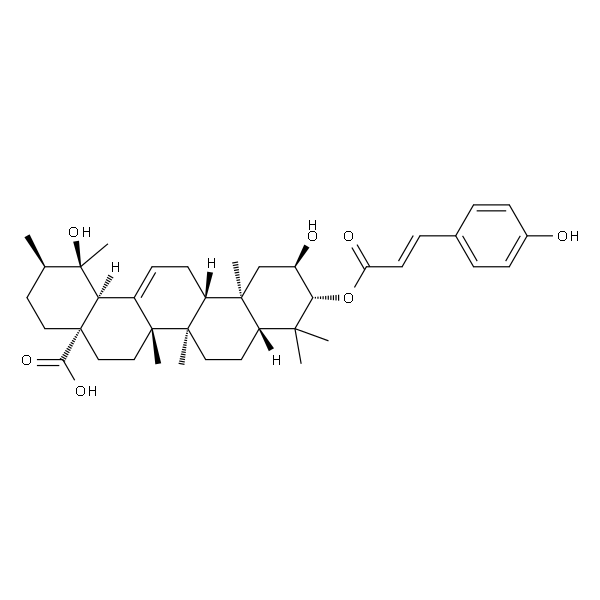 3-O-p-Coumaroyltormentic acid