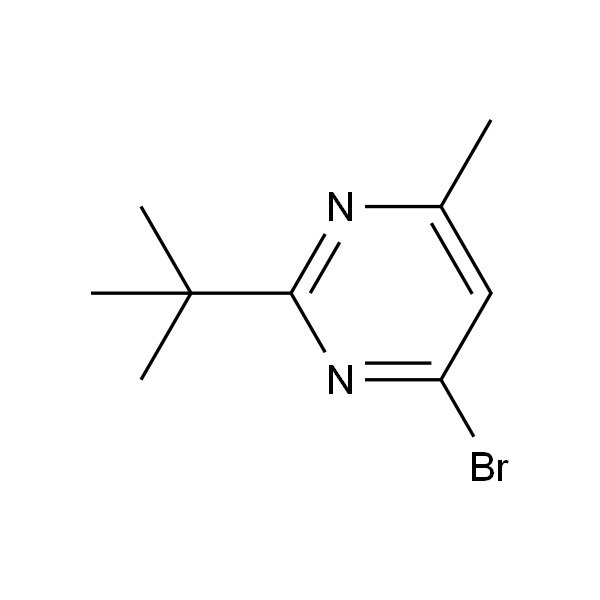 4-broMo-2-tert-butyl-6-MethylpyriMidine