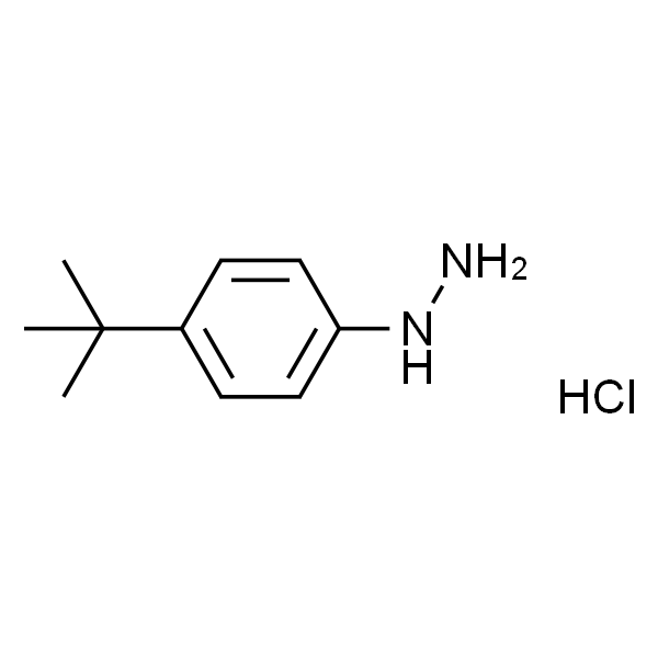 (4-(tert-Butyl)phenyl)hydrazine hydrochloride