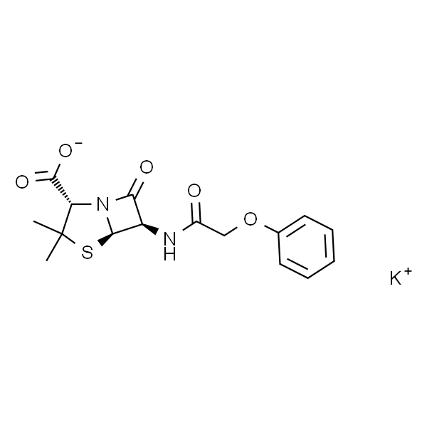 Penicillin V Potassium