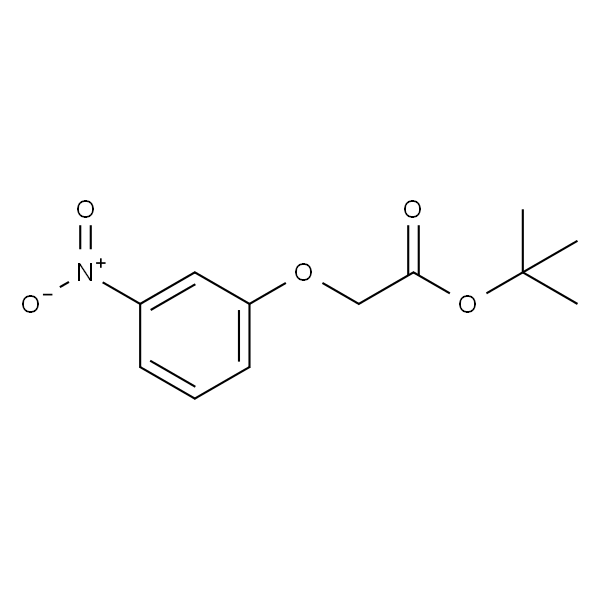 tert-Butyl2-(3-nitrophenoxy)acetate