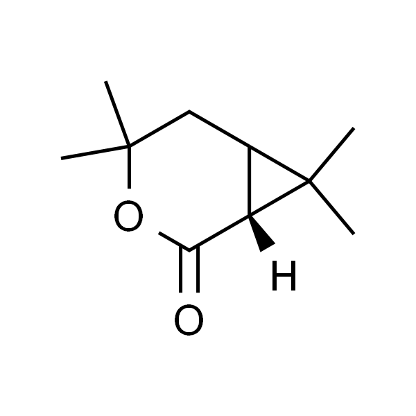 (1R)-CHRYSANTHEMOLACTONE
