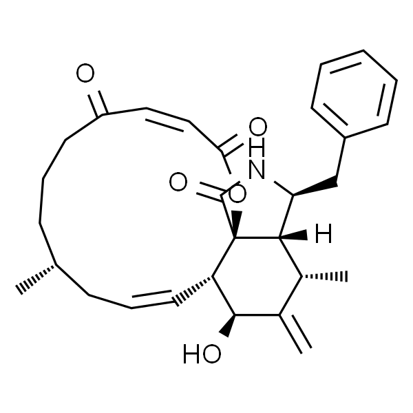 Cytochalasin A