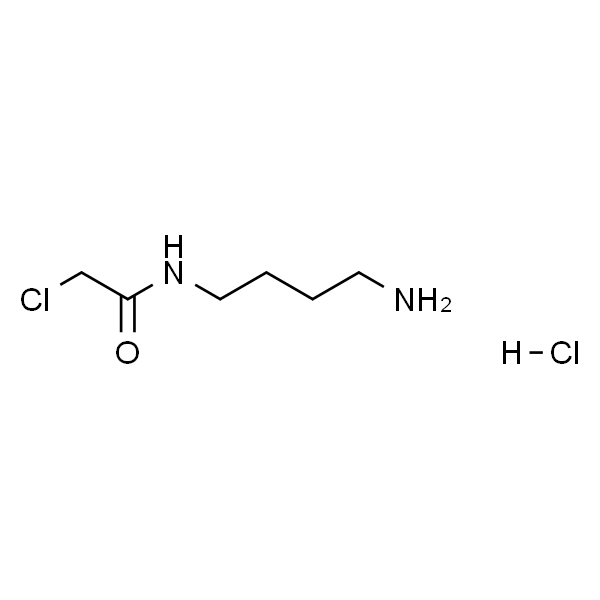 N-(4-aminobutyl)-2-chloroacetamide hydrochloride
