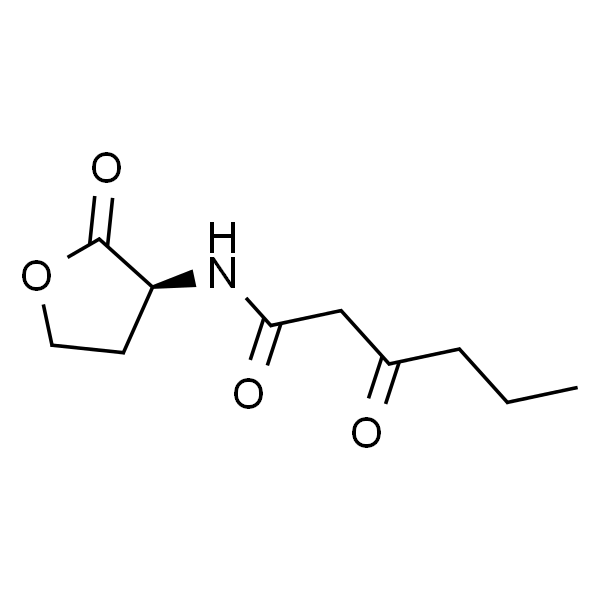 N-(Ketocaproyl)-L-homoserine Lactone