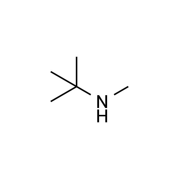 N-Methyl-tert-butylamine