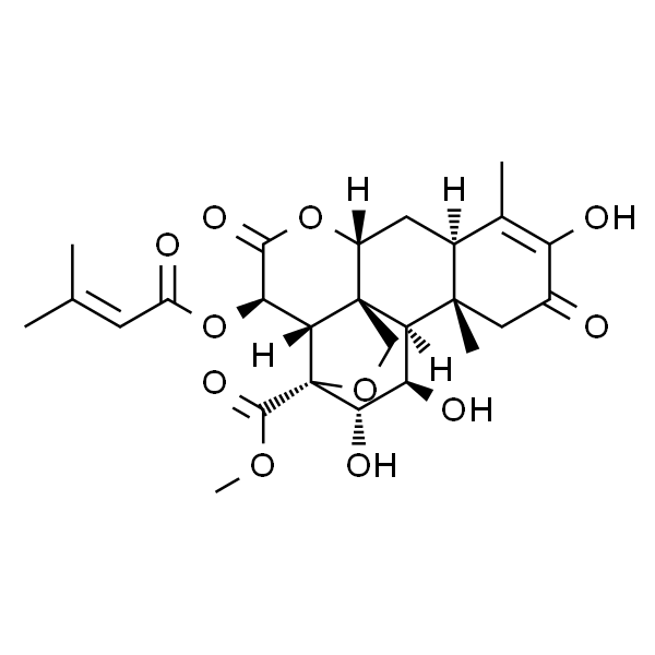 Brusatol
