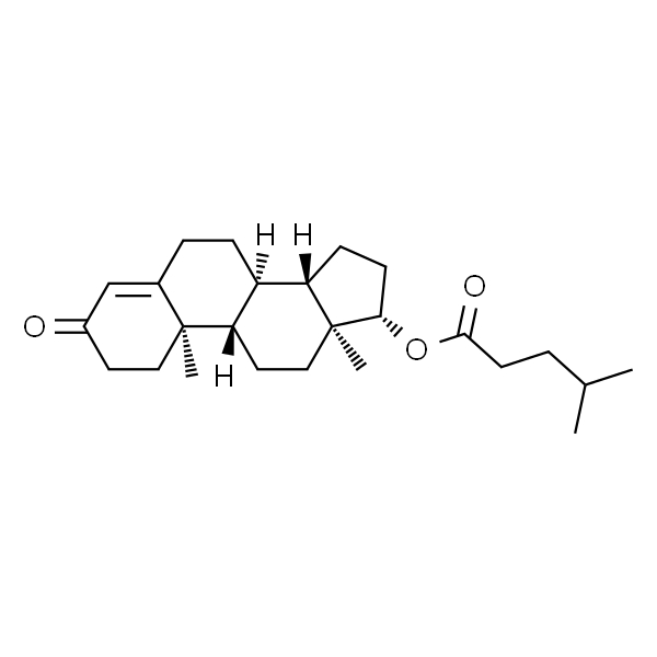 Testosterone isocaproate