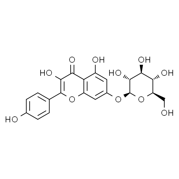 Kaempferol-7-O-β-D-glucopyranoside