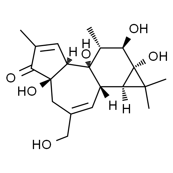 Phorbol