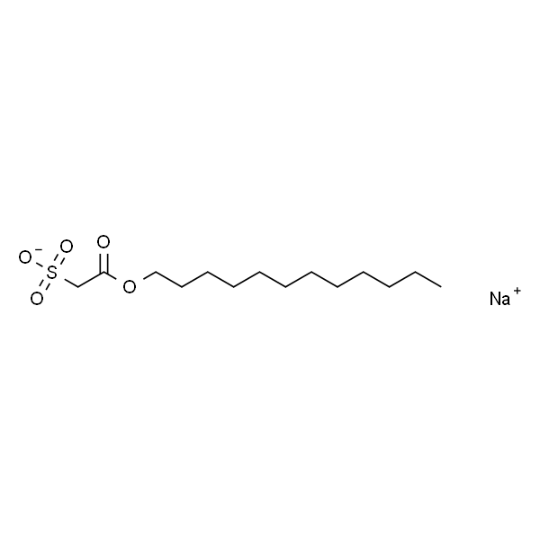 Sodium new houttuyfonate