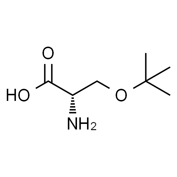O-tert-Butyl-L-serine