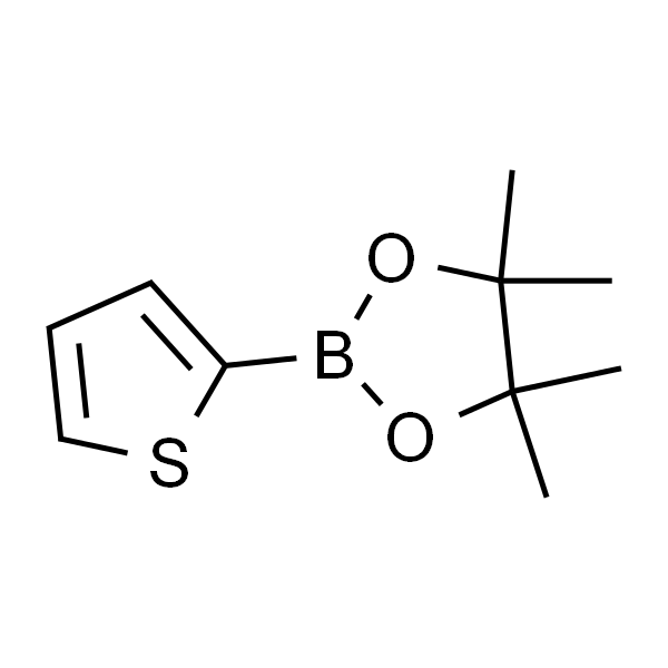 Thiophene-2-boronic acid pinacol ester