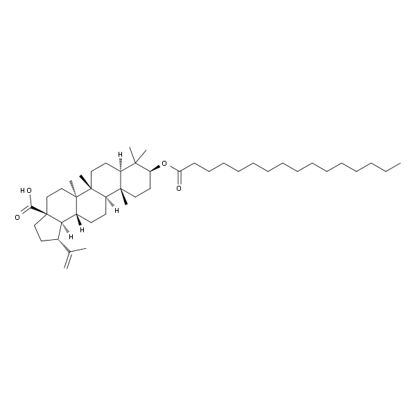 Betulinic acid palmitate