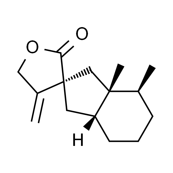 19906-72-0
