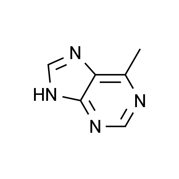 6-Methylpurine