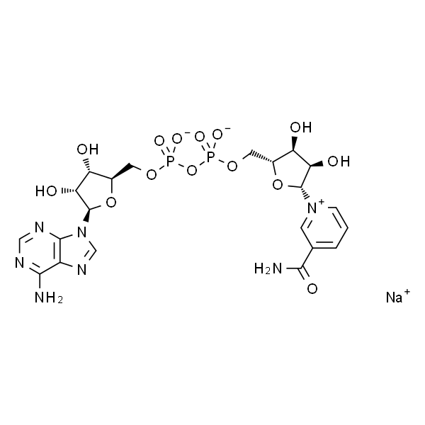 β-Nicotinamide adenine dinucleotide sodium salt
