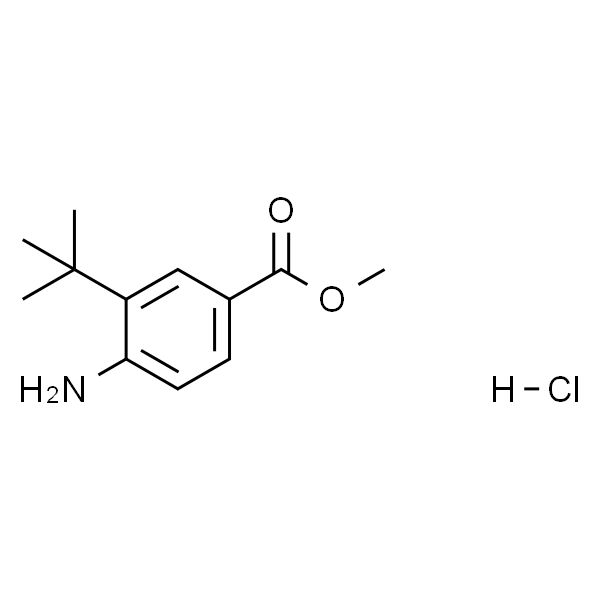 Methyl 4-amino-3-(tert-butyl)benzoate hydrochloride