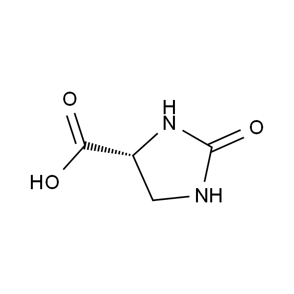 (R)-2-Oxoimidazolidine-4-carboxylicacid