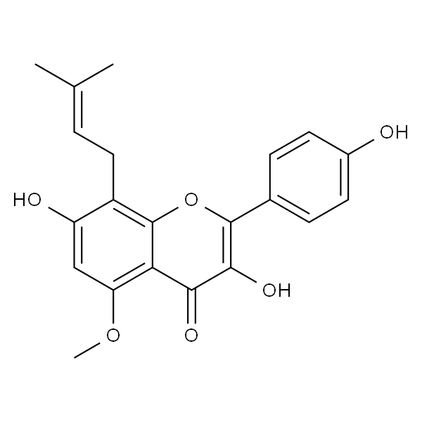 Sophoflavescenol