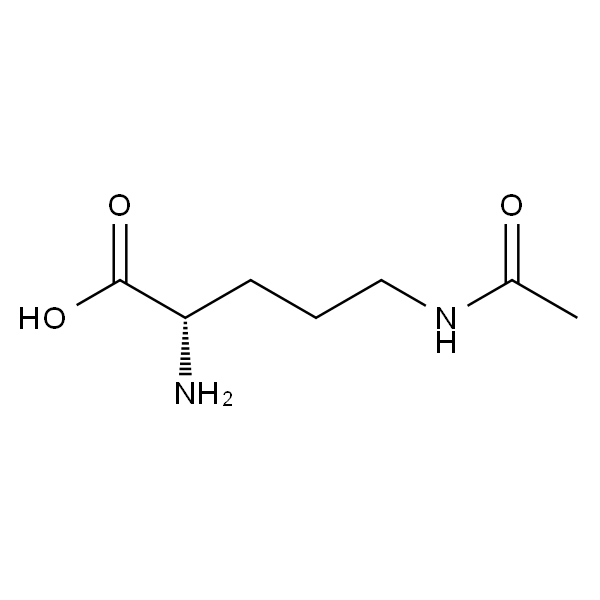 N(delta)-acetylornithine