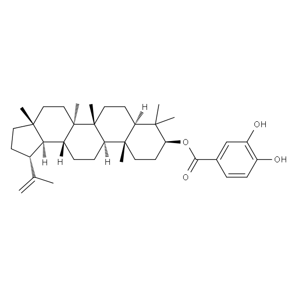 3,4-Dihydroxybenzoyllupeol