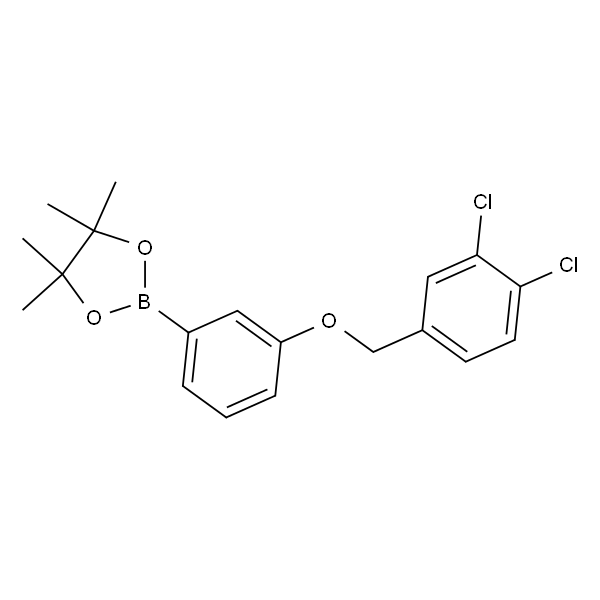 2-(3-((3,4-Dichlorobenzyl)oxy)phenyl)-4,4,5,5-tetramethyl-1,3,2-dioxaborolane