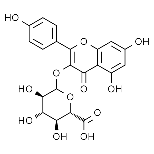 Kaempferol-3-beta-O-glucuronide