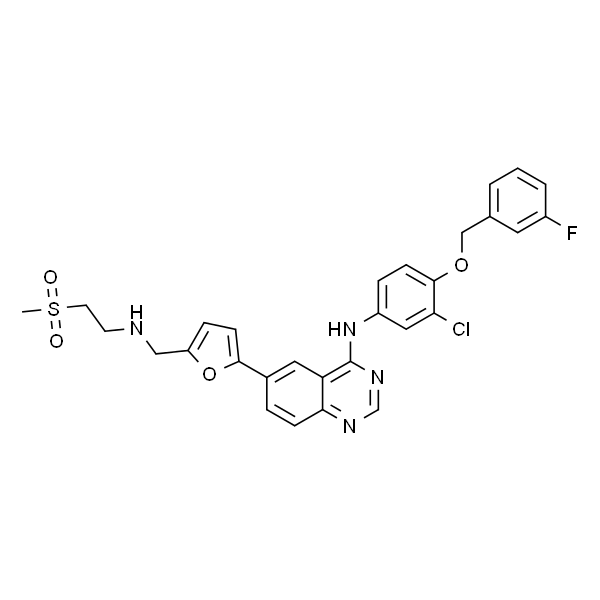 Lapatinib