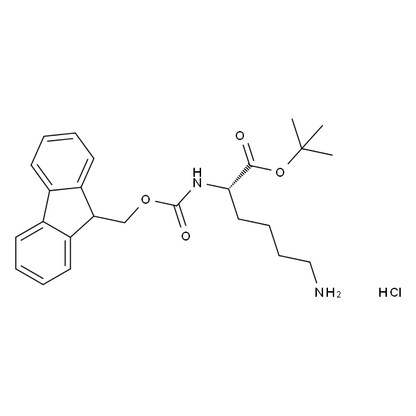 Fmoc-Lys-OtBu.HCl