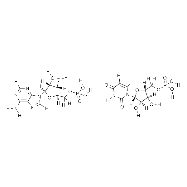 Polyadenylic acid-Polyuridylic acid sodium salt double-stranded homopolymer