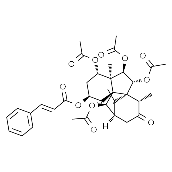 7β-Acetoxytaxuspine C