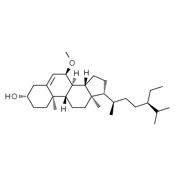 Schleicheol 2