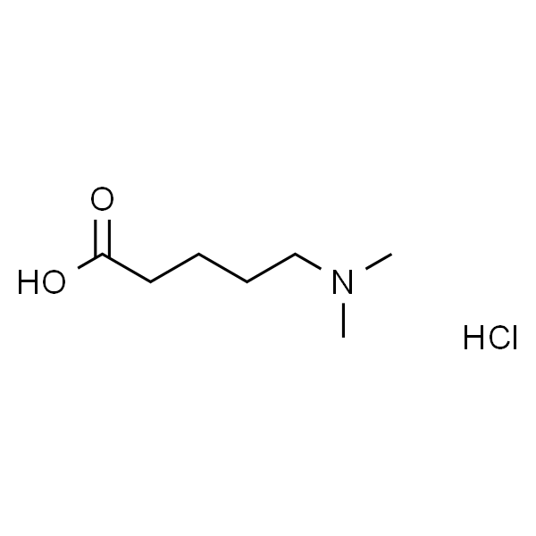 5-(Dimethylamino)pentanoic Acid Hydrochloride