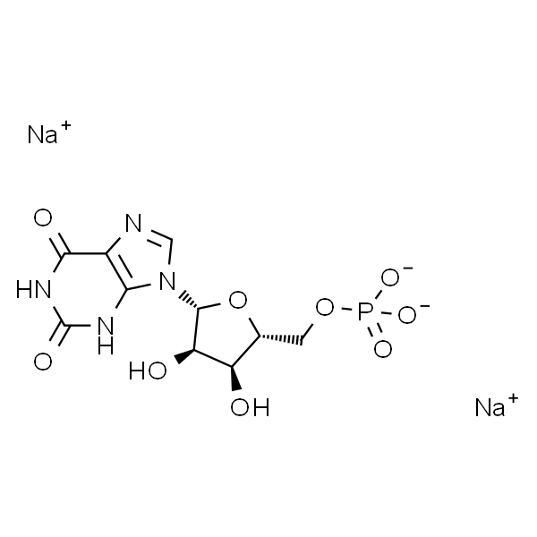 Xanthosine-5'-Monophosphate disodium salt/XMP