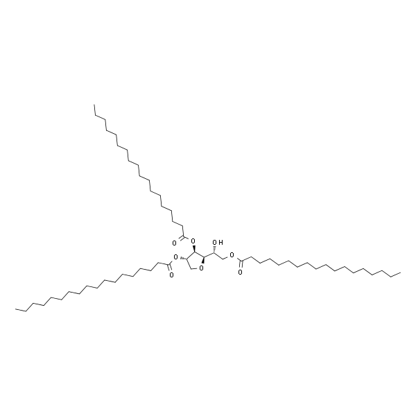 SPAN 65