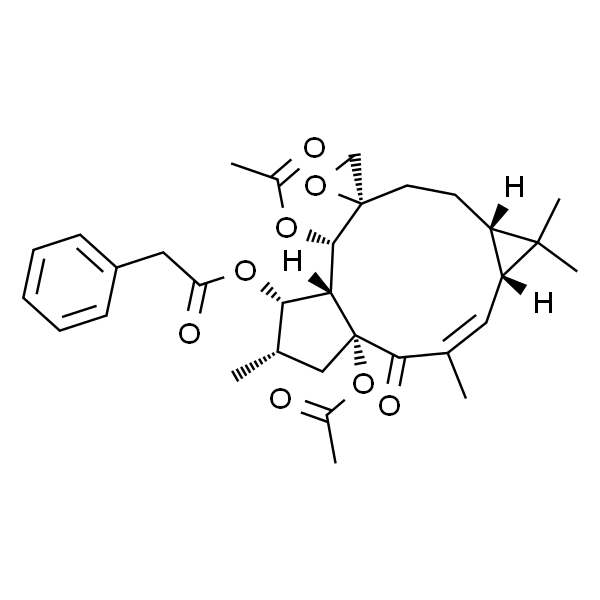Euphobiasteroid