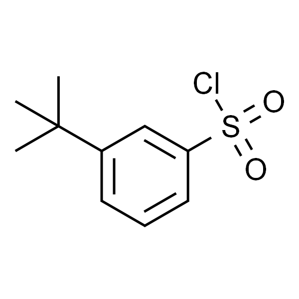 3-(tert-Butyl)benzene-1-sulfonyl chloride