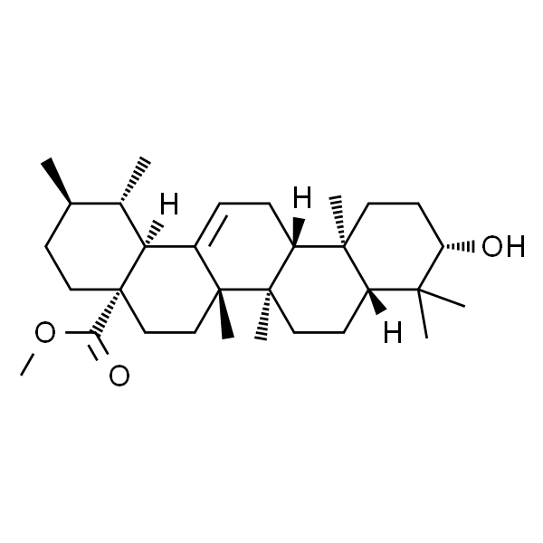 URSOLIC ACID METHYL ESTER