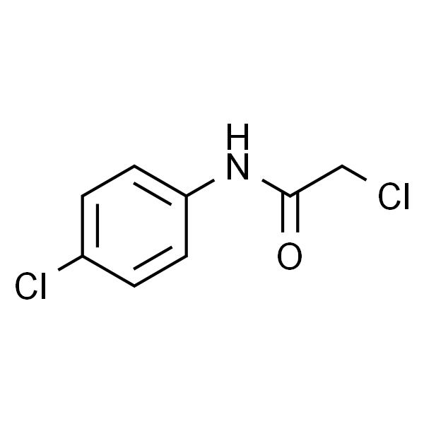 N-(4-Chlorophenyl)-2-chloroacetamide