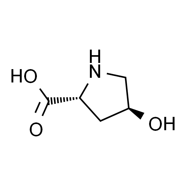 trans-4-Hydroxy-D-proline