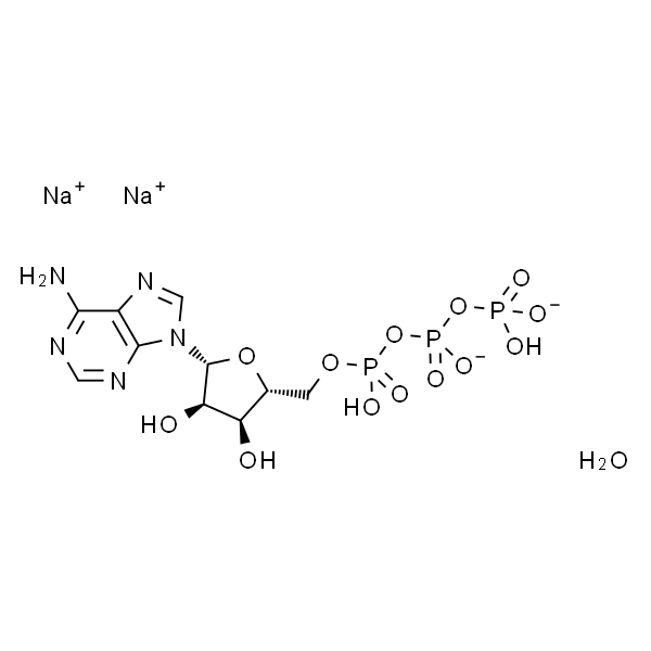 Adenosine-5'-triphosphate disodium salt hydrate