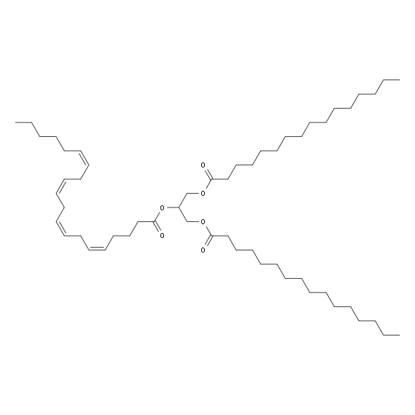 1,3-Palmitin-2-Arachidonin
