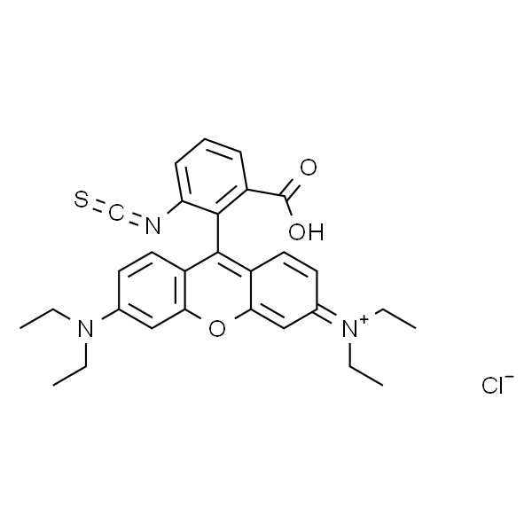 Rhodamine B isothiocyanate