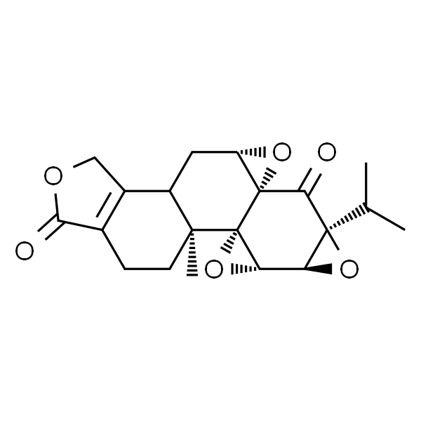Triptonide