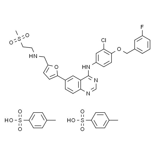 Lapatinib Ditosylate (GW-572016)