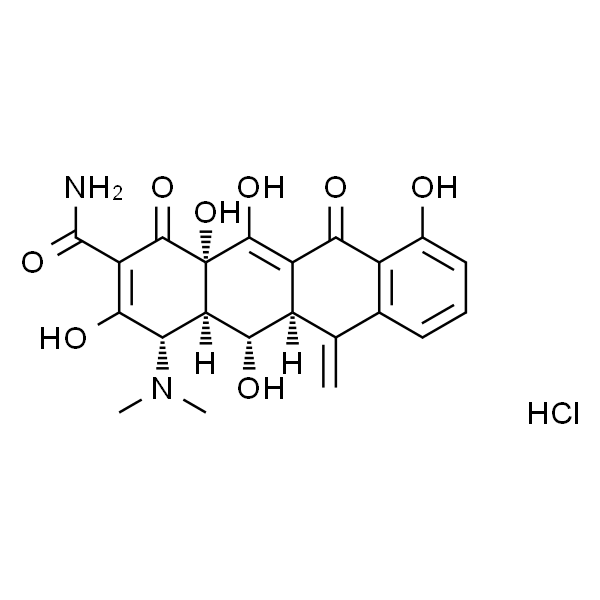 Methacycline HCl