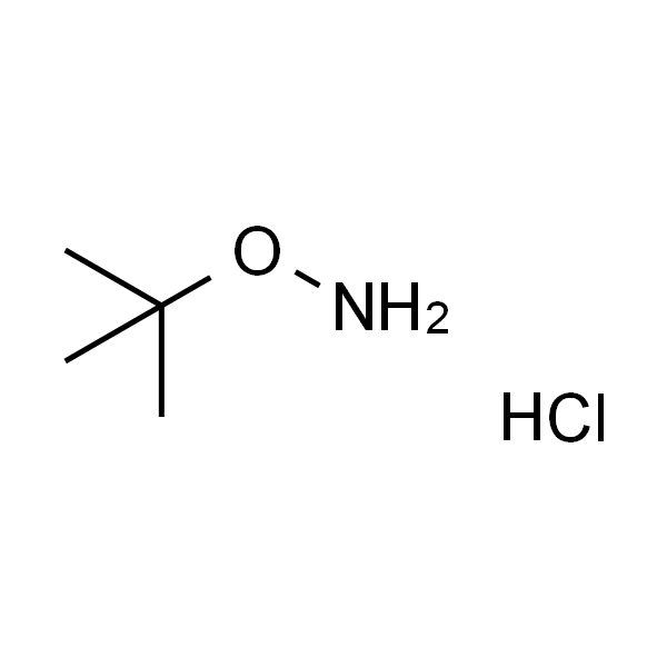 O-(tert-Butyl)hydroxylamine hydrochloride