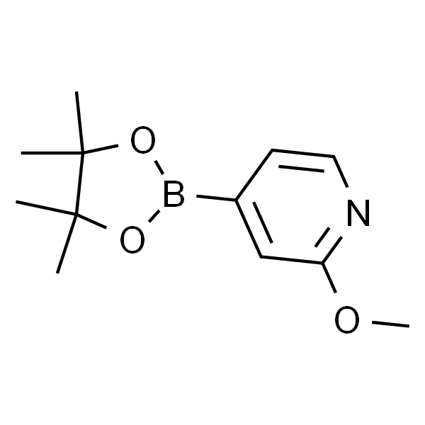 2-Methoxy-4-(4，4，5，5-tetramethyl-1，3，2-dioxaborolan-2-yl)pyridine